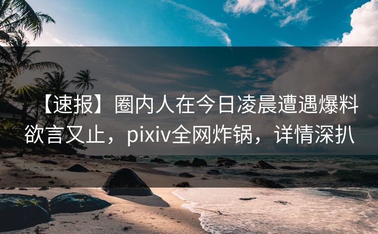 【速报】圈内人在今日凌晨遭遇爆料欲言又止，pixiv全网炸锅，详情深扒