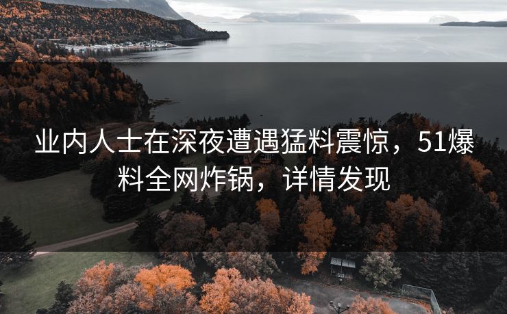 业内人士在深夜遭遇猛料震惊，51爆料全网炸锅，详情发现