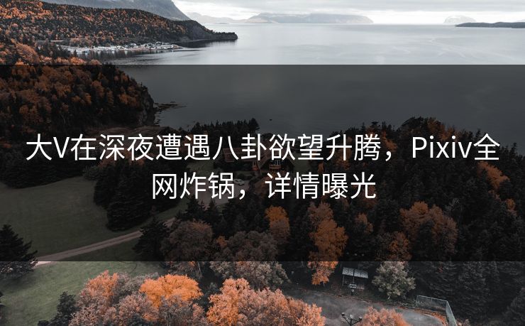 大V在深夜遭遇八卦欲望升腾，Pixiv全网炸锅，详情曝光